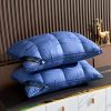 2pack  Bread Pillow-hote
